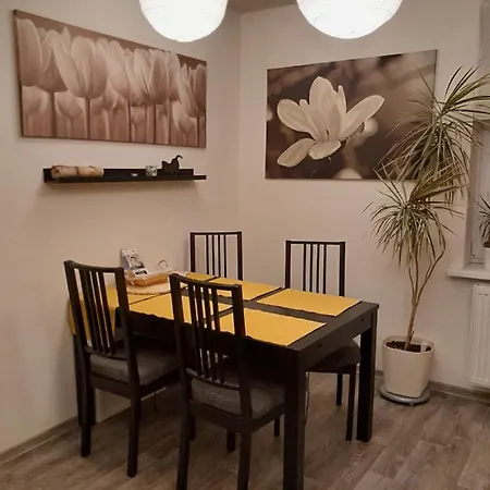 דירה Riegerovka *