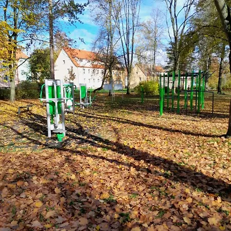 Riegerovka Cheb
