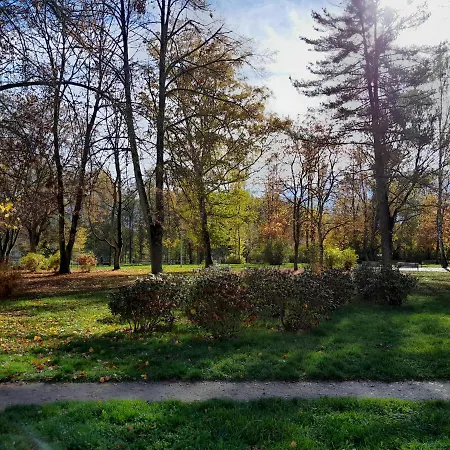 Riegerovka Apartament Cheb