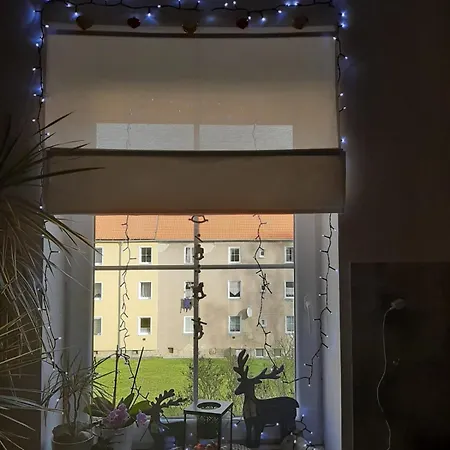 Riegerovka Apartament