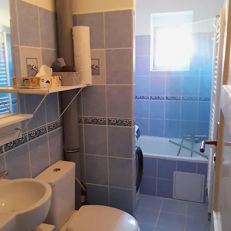 Apartman Riegerovka Cheb